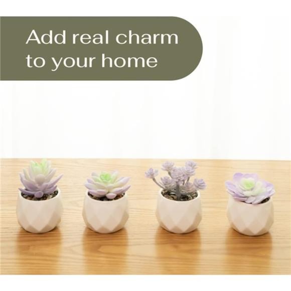 Artificial Purple Cactus Plant in White Ceramic Pots, Set of 4 - Mini Succulent - Picture 9 of 12
